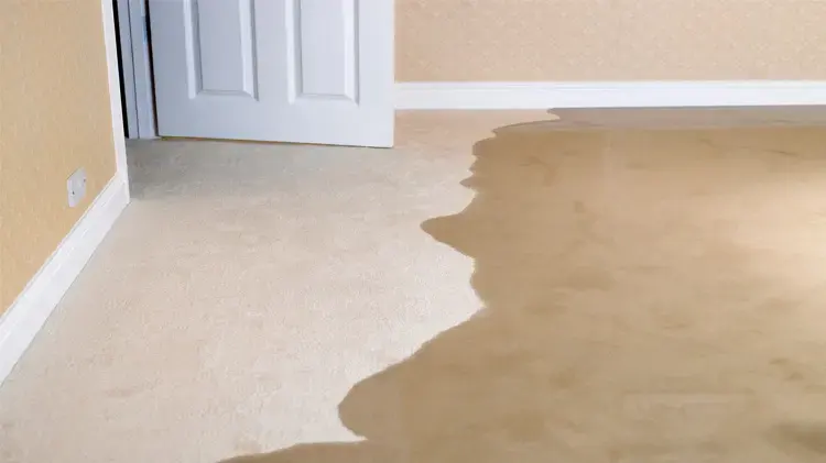 Water fanning out across carpet from a doorway