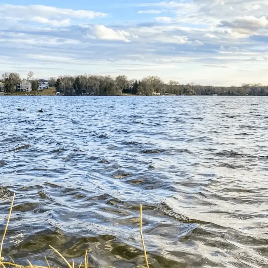 Wind-driven waves on an open lake under a pale spring sky
