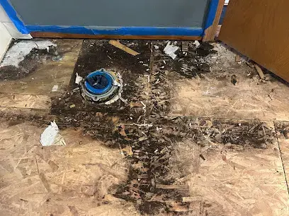 Stained subfloor around a toilet flange after the flooring was removed from a contaminated bathroom